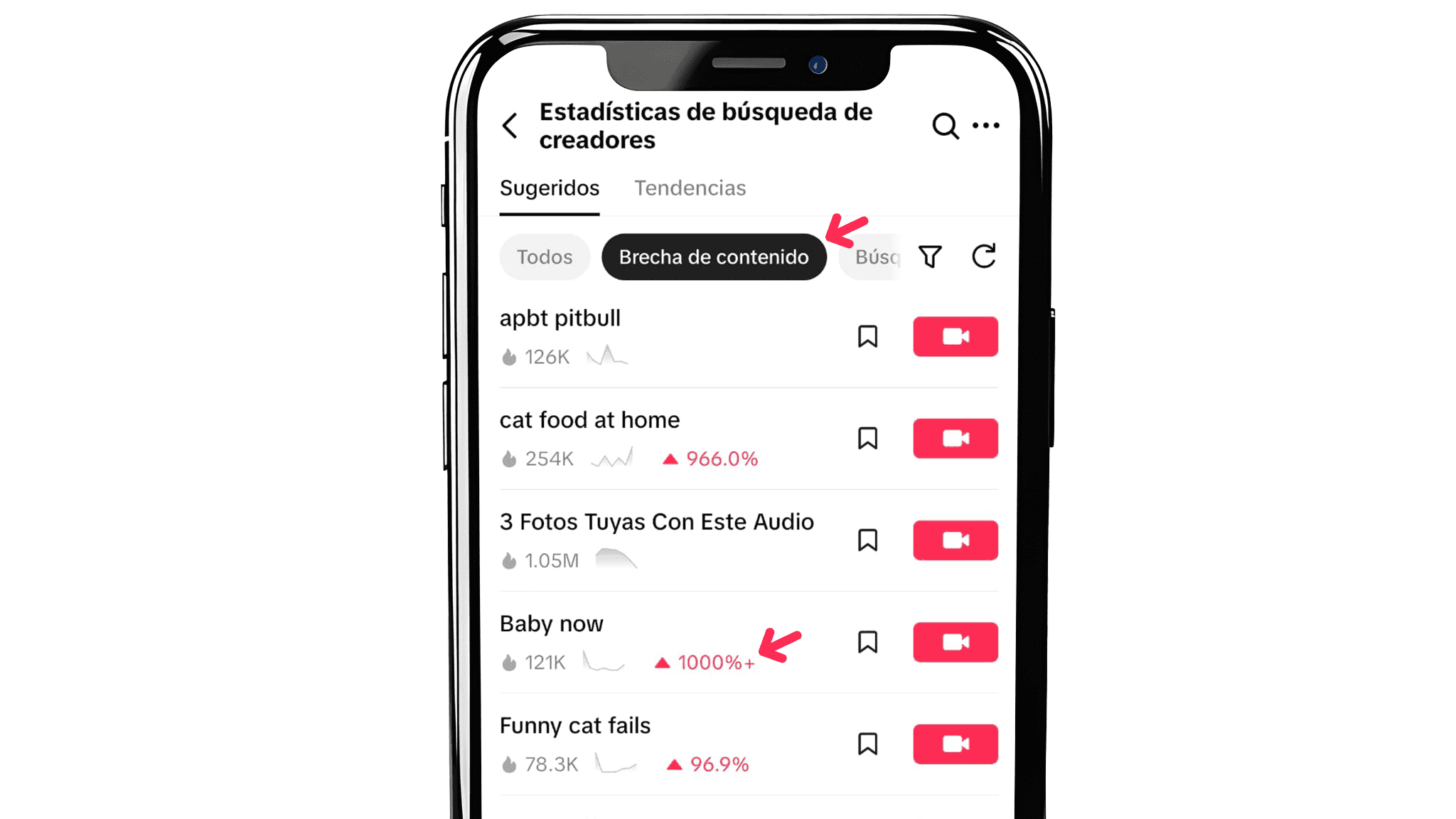 Creator Search Insights